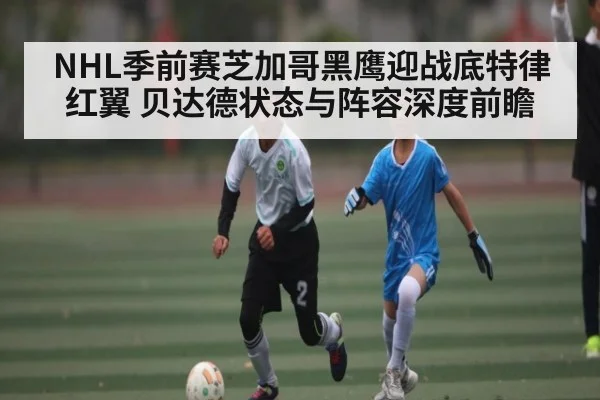 NHL季前赛芝加哥黑鹰迎战底特律红翼 贝达德状态与阵容深度前瞻 - ng28.h5