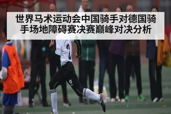 世界马术运动会中国骑手对德国骑手场地障碍赛决赛巅峰对决分析 - ng28.h5
